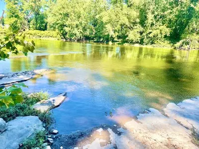 a body of water with trees in the background at Forest and River Side Tranquil House in Montague