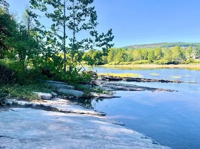 a river with rocks and trees on the shore at Forest and River Side Tranquil House in Montague