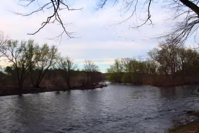 a river with trees on the side of it at Rare River Views & Access, Cabin by Eden Islands in Montague
