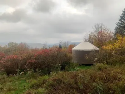 a yurt sitting in the middle of a field at Livingston Manor YURT in Parksville