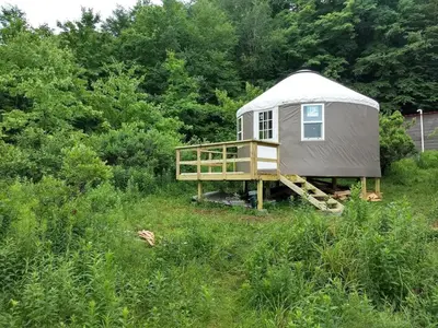 a yurt in the middle of a field with trees at Livingston Manor YURT in Parksville