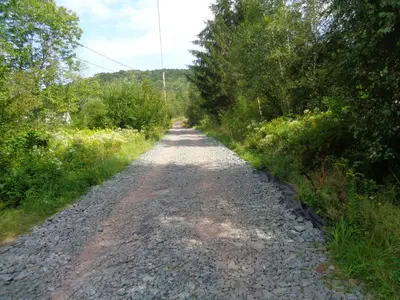 a gravel road with trees on both sides at Livingston Manor YURT in Parksville