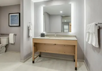 a bathroom with a sink and a mirror at Hyatt Place Newark-Main Street in Newark