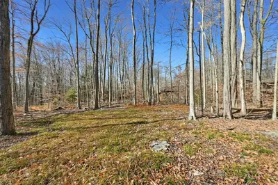 a clearing in the woods with trees and grass at Pocono Pines, Lake Naomi 4 bedrooms, 2 full bath in Pocono Pines