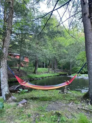 a hammock in the woods next to a pond at Peaceful Gateway to Island Creek Cottage in East Stroudsburg