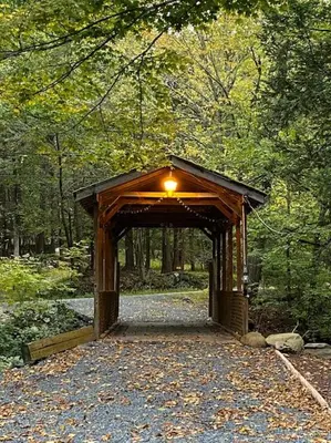 a wooden bridge in the middle of a forest at Peaceful Gateway to Island Creek Cottage in East Stroudsburg