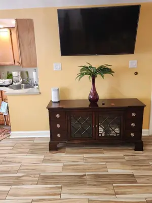 a television on a wall with a plant on a dresser at Cozy 2-bedroom Apartment in Philadelphia