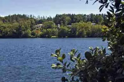 a view of a lake with trees in the background at Cheerful 5-bedroom resort with heated pool in East Stroudsburg