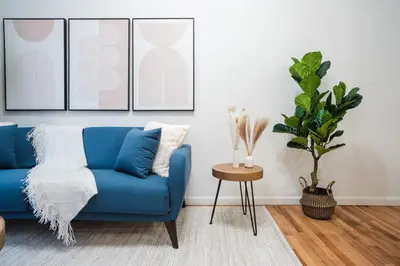 a blue couch in a living room with a plant at 74-4A 2BR 2baths in Prime Upper West Side w d GYM in New York