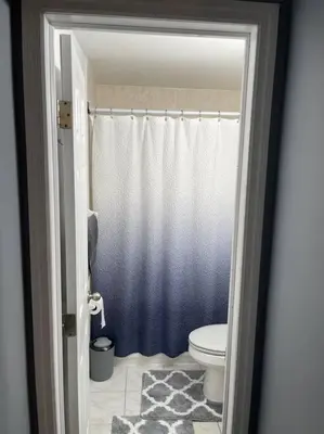 a bathroom with a toilet and a blue shower curtain at Modern one bedroom apartment in Princes Bay