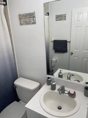 a bathroom with a sink and a toilet and a mirror at Modern one bedroom apartment in Princes Bay
