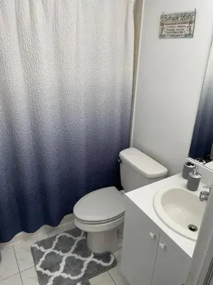 a bathroom with a toilet and a shower curtain at Modern one bedroom apartment in Princes Bay