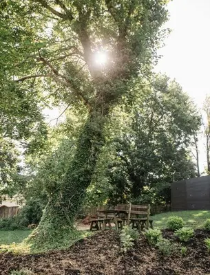 a tree with ivy growing on it in a park at Ode to the '70's creative private home with pool in Honey Brook