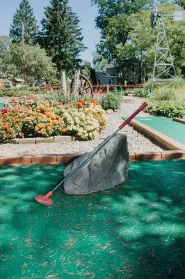 a paddle is in the water in a garden at Entire House within Campground in Mifflinburg