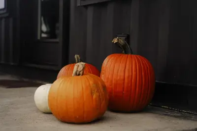three pumpkins are sitting on the floor in front of a door at ‘Scenic Escapes’ Romantic Pine Grove Getaway! in Pine Grove